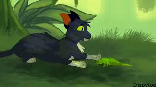 Pirate Scourge [Complete map Original MAP Warrior Cats]