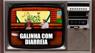 DR JUCA - GALINHA COM DIARREIA