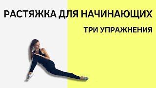 Растяжка для начинающих | три простых упражнения | Romanova Fitness Blog