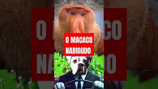 O Macaco Narigudo #shorts #memesvideo #edit