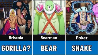 All Artificial Zoan Devil Fruit users part2 | One Piece anime