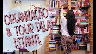 REORGANIZANDO OS LIVROS + TOUR PELA ESTANTE  📚