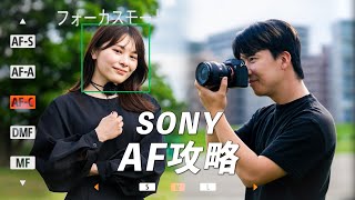 【完全保存版】一緒に覚えよう！SONYのAF攻略ガイド｜状況別に最適な方法も解説します！！