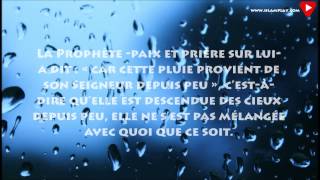 Une Sounnah délaissée... faites la revivre! - Cheikh el-Fawzan