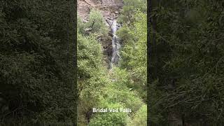 Bridal Veil Falls | Sturgis 2023 | Spearfish Canyon, South Dakota  #shorts #shortsfeed #shortvideo