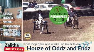 Houze of Oddz and Endz sal by Vaalharts Pekanfees se perdeskou wees - koem loer in