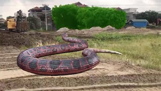 Máy Xúc Múc Đất Và Con Rắn Khổng Lồ | Excavator and Giant Snake