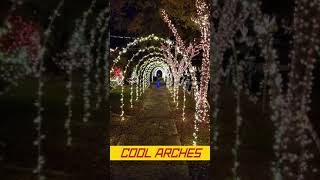 Christmas Light Arches on Sparrow Dr