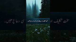 سخت پریشانیوں ور تکلیف میں کون سی دعا پڑھے #shortvideo #video #q #quranpak