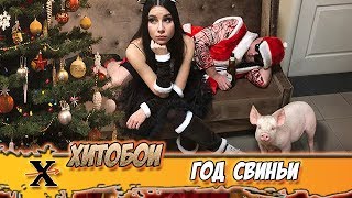 ХИТОБОИ - ГОД СВИНЬИ