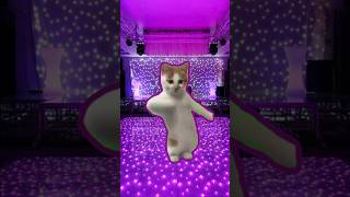 Кот танцует, мем #shortsvideo #рек #catshorts #мемы #мем #тренды #dance #юмор #dancingcat #green