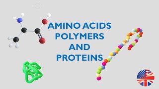 Unveiling Protein Synthesis in 3D! 🧬✨