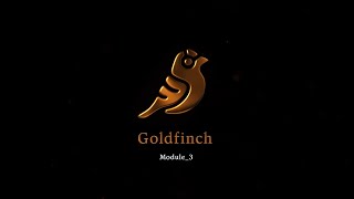 Goldfinch Finance Модуль 3 - Финансовая отчетность компании \ углубленно с примерами