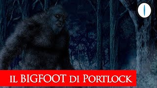 Il BIGFOOT di Portlock: una storia vera? Speciale HALLOWEEN