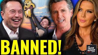 Elon Musk HUMILIATES California’s GAVIN NEWSOM for CRAZY Ban on Memes!