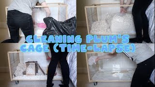 CLEANING PLUM'S CAGE! TIME-LAPSE!