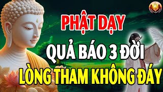 Quả Báo 3 Đời Của Lòng Tham Không Đáy – Lời Phật Dạy Về Lòng Tham Rất Hay