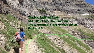 MN to Glacier National Park Epic Views on Highline Trail Part 4 of 8 by onza04