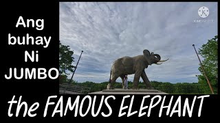 I met JUMBO THE FAMOUS ELEPHANT of St. Thomas, Ontario, Canada