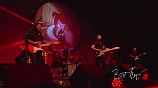 Brit Floyd - "Sheep" - Space & Time - Live in Amsterdam