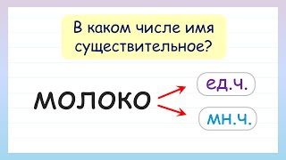 В каком числе имя существительное? Попробуй угадать!