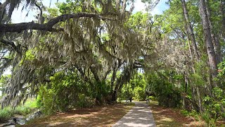 Explore Jekyll Island by Bike: Georgia Barrier Island Vacation Destination