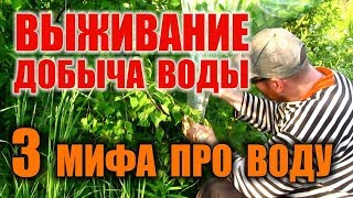 КАК НАЙТИ ВОДУ В ЛЕСУ. ДОБЫЧА ВОДЫ ПРИ ЧС. Известные способы добычи воды  - правда или миф. Бушкрафт