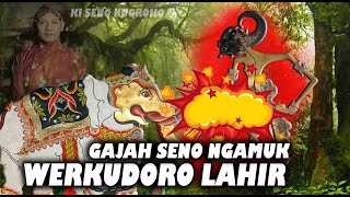 PROSES RUMIT LAHIRE WERKUDORO & KASUARGAN GAJAH SENO