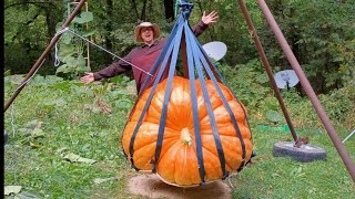 Harvesting My Giant Pumpkin! How To Lift And Load! Weigh Off Tomorrow!