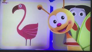 Flip and Flash | Animals and Colors | BabyTV