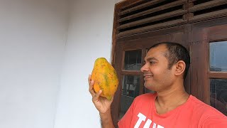 Well Ripened Papaya For Desert