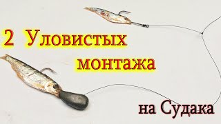 2 Уловистых монтажа для ловли судака на ТЮЛЬКУ