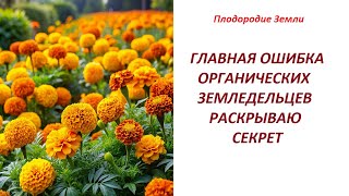 Чего не понимали все кто практиковал органическое земледелие №644/24