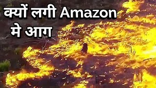 Brazil में Amazon के जंगलों में इस सदी की सबसे भीषण आग लगी है। The Amazon is on fire