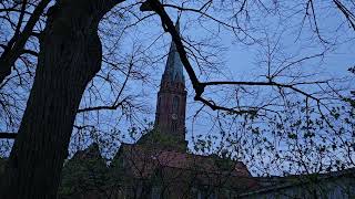 Lüneburg (LG) Altstadt evang. Nicolaikirche : Vollgeläut