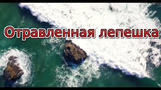 Отравленная лепешка