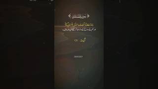 Ssurah Mudassir urdu translationçtarjuma #surahmudassir #youtubeshorts #shorts #viral #fyp #whyme