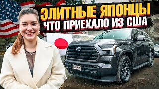 SEQUOIA много не бывает! Показываем новую партию Авто из США | Toyota, Lexus, Mazda, Tesla