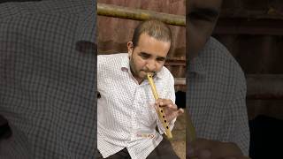 Ranjan Gavala #banjopremikavi #beats #shortsvideo #music #live #india #kalakar #dadar #flute