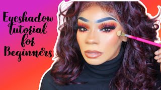 Eyeshadow Tutorial  For Beginners. 💕❤💄💋🎨