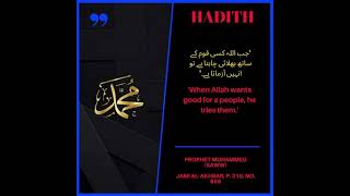 Prophet Muhammad (SAWW) hadith 23