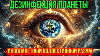 ОЧИЩЕНИЕ ПЛАНЕТЫ! Ключевые ПРОЦЕССЫ На ЗЕМЛЕ! ЭТО МИРОВОЙ ПЕРЕЛОМНЫЙ МОМЕНТ | Абсолютный Ченнелинг