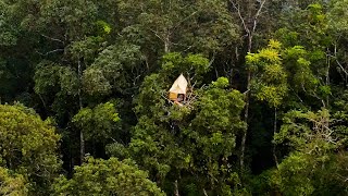 SOLO CAMPING HUJAN DERAS MEMBUAT RUMAH POHON DI HUTAN