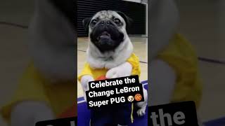 Celebrate the Change LeBron SUPER PUG 🏀🐶 #itsdougthepug #basketball #shorts https://bit.ly/3By5Bpa