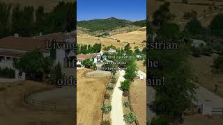 186-01017P, Luxury Farmer's Life near Ronda, Villas & Fincas Country Properties, Andalusia, Spain