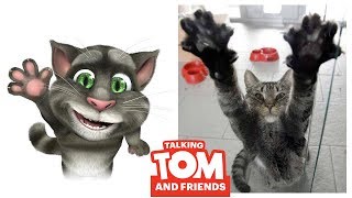 Talking Tom and Friends Characters in Real Life