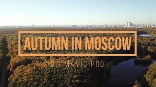 Autumn in Moscow (4k) Dji mavic pro (Золотая осень в Москве)