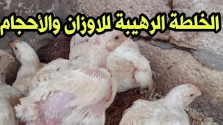 الخلطة الرهيبة للاوزان النبيلة للفراخ البيضاء وهتخلي فراخك 4 كيلو في شهر وبتعالج الإسهال والاوكسيديا