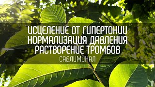 ИСЦЕЛЯЮЩИЙ саблиминал от ГИПЕРТОНИИ и ТРОМБОВ | Саблиминал