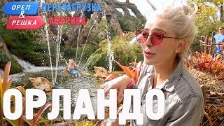 Орландо. Орёл и Решка. Перезагрузка. АМЕРИКА